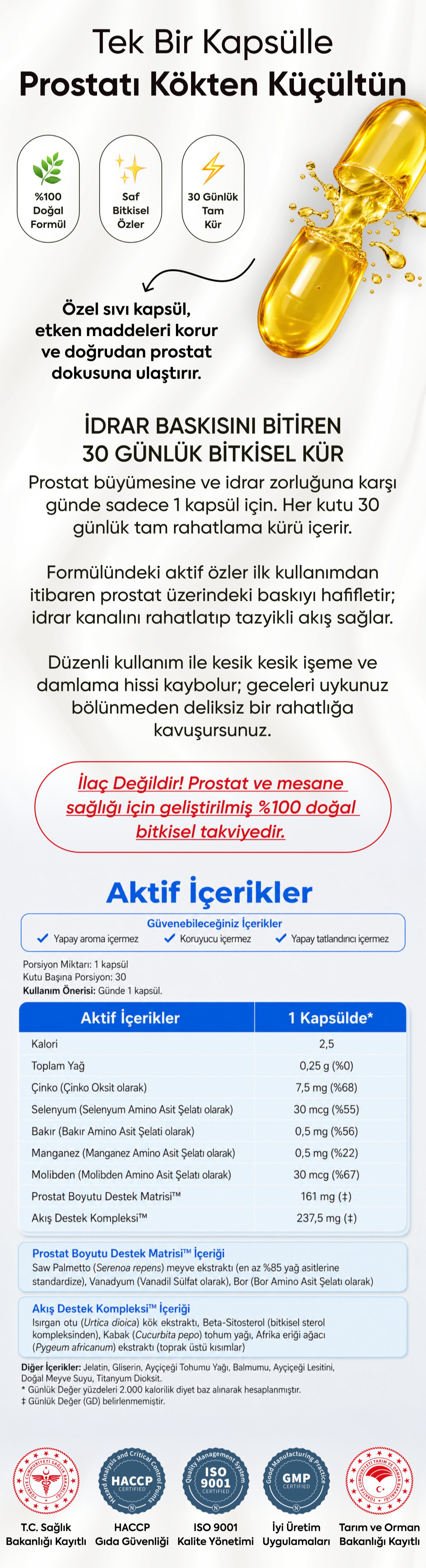 Promotional Imasge 1